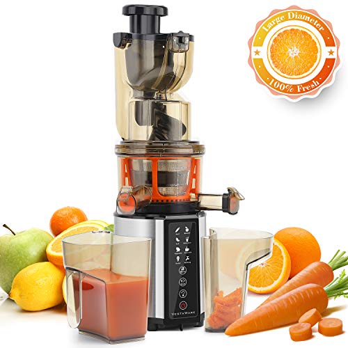 Juicer Machines, Vestaware Cold Press Slow Juicer with Two Speed Modes, Masticating Juicer Machine for Higher Nutrient Fruit and Vegetable Juice