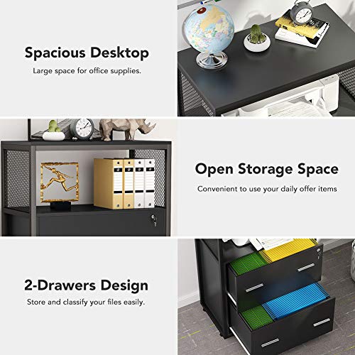Tribesigns 2 Drawer Lateral File Cabinet with Lock Tribesigns 2 Drawer Lateral File Cabinet with Lock, Letter/Legal / A4 Size, Large Modern Filing Cabinet Printer Stand with Metal Wire Open Storage Shelves for Home Office (Black).