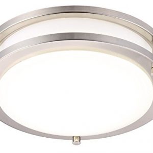 Cloudy Bay LED Flush Mount Ceiling Light,10 inch,17W(120W Equivalent) Dimmable 1050lm,5000K Day Light,Brushed Nickel Round Lighting Fixture for Kitchen,Hallway,Bathroom,Stairwell