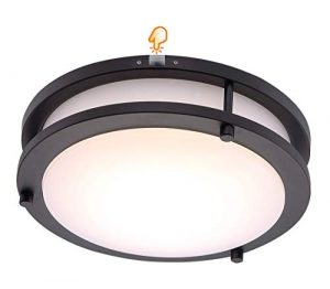 Cloudy Bay Dimmable LED Ceiling Light in Oil Rubbed Bronze 🌟