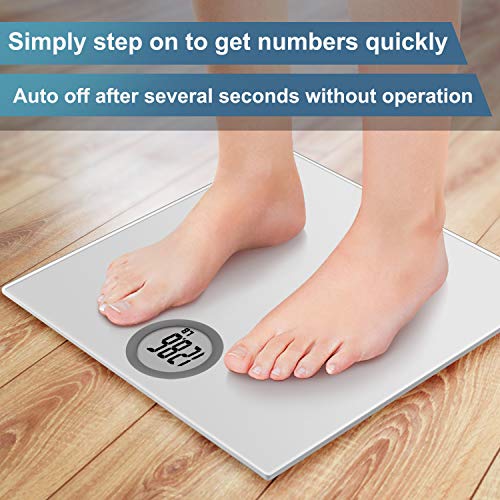 Vitafit Digital Body Weight Bathroom Scale Vitafit Digital Physique Weight Lavatory Scale Weighing Scale with Step-On Know-how, LCD Show(400lb),Batteries Included, Elegant Silver.